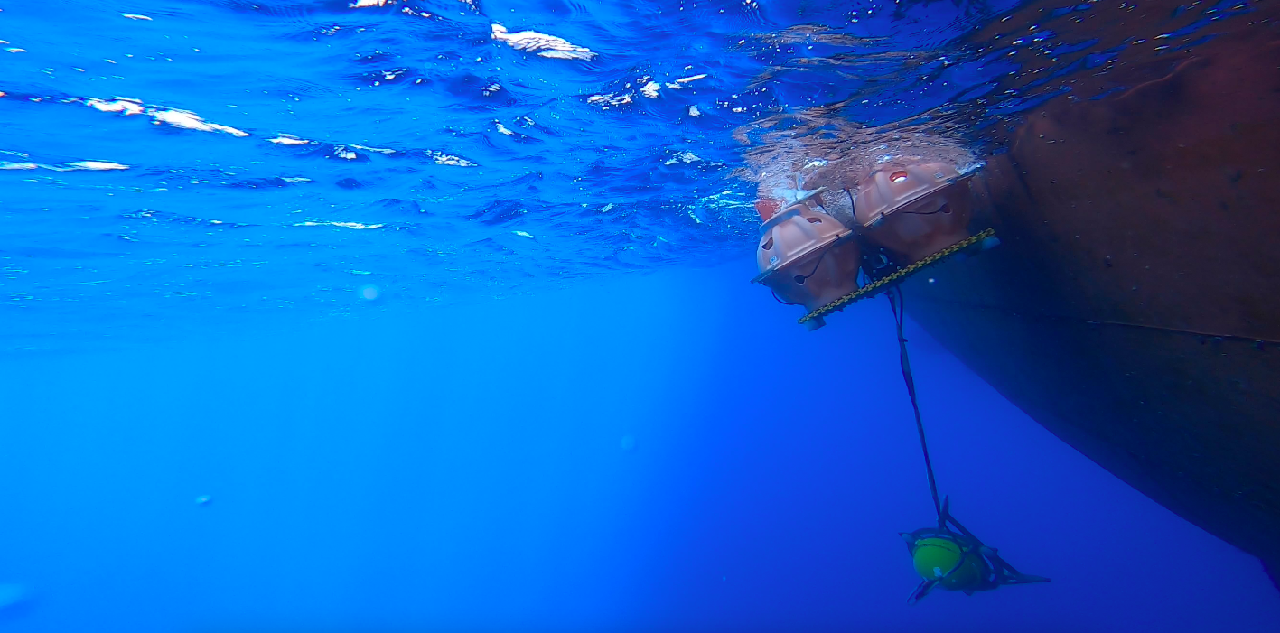 Screen Shot 2022-02-18 at 12.34.05 PM