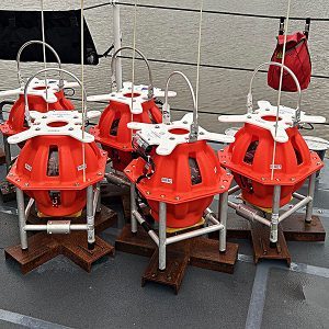 Miller_Mendocino Microbs IMG 3908_crop